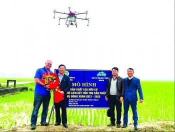 Sepon group và nét độc đáo trong sản xuất nông nghiệp hữu cơ