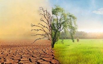 Sáng tạo để thích ứng trước biến đổi khí hậu, hướng đến nền nông nghiệp bền vững