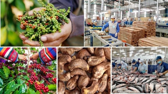 Nông nghiệp trước thuế quan mới: Thách thức và cơ hội chuyển mình