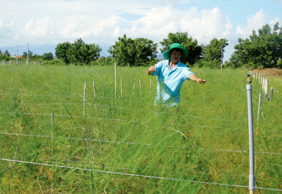 Quỹ Hỗ trợ nông dân Ninh Thuận tiếp sức cho nông dân làm giàu
