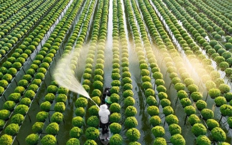 Sở Nông nghiệp và Môi trường chức năng, nhiệm vụ, quyền hạn của cơ quan chuyên môn