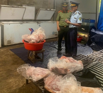 Đắk Lắk: Đẩy mạnh kiểm tra, giám sát, xử lý vi phạm trong lĩnh vực nông, lâm, thủy sản