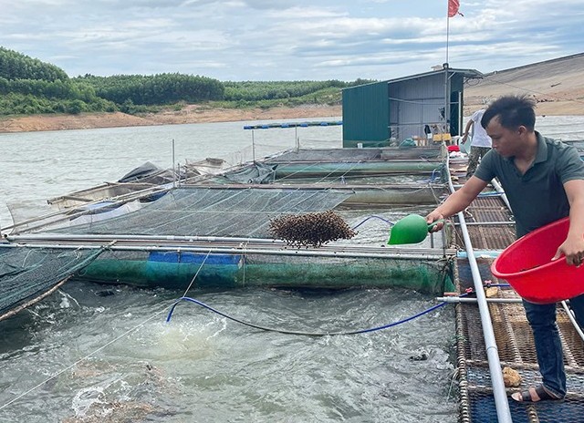 Quảng Trị: Tổng sản lượng thủy sản 6 tháng đầu năm 2025 đạt hơn 66.500 tấn
