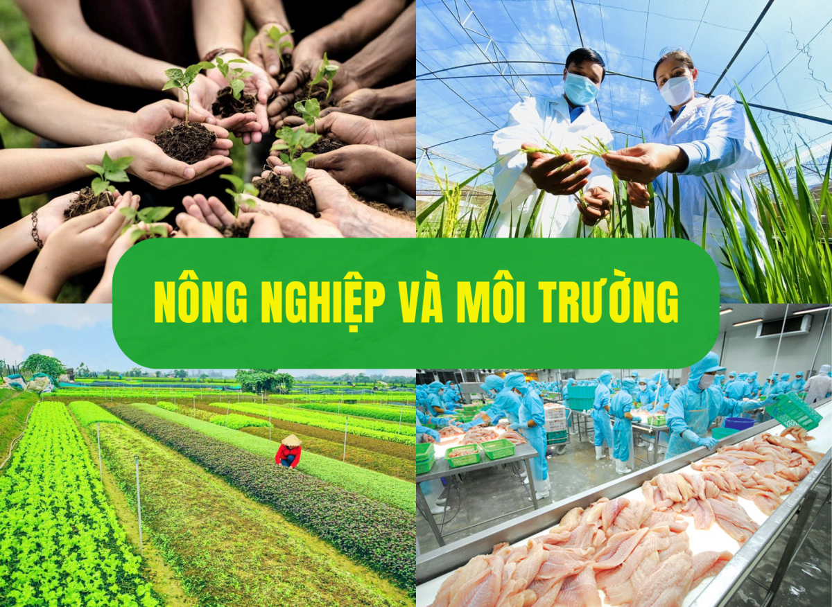 Ngành Nông nghiệp và Môi trường duy trì đà tăng trưởng