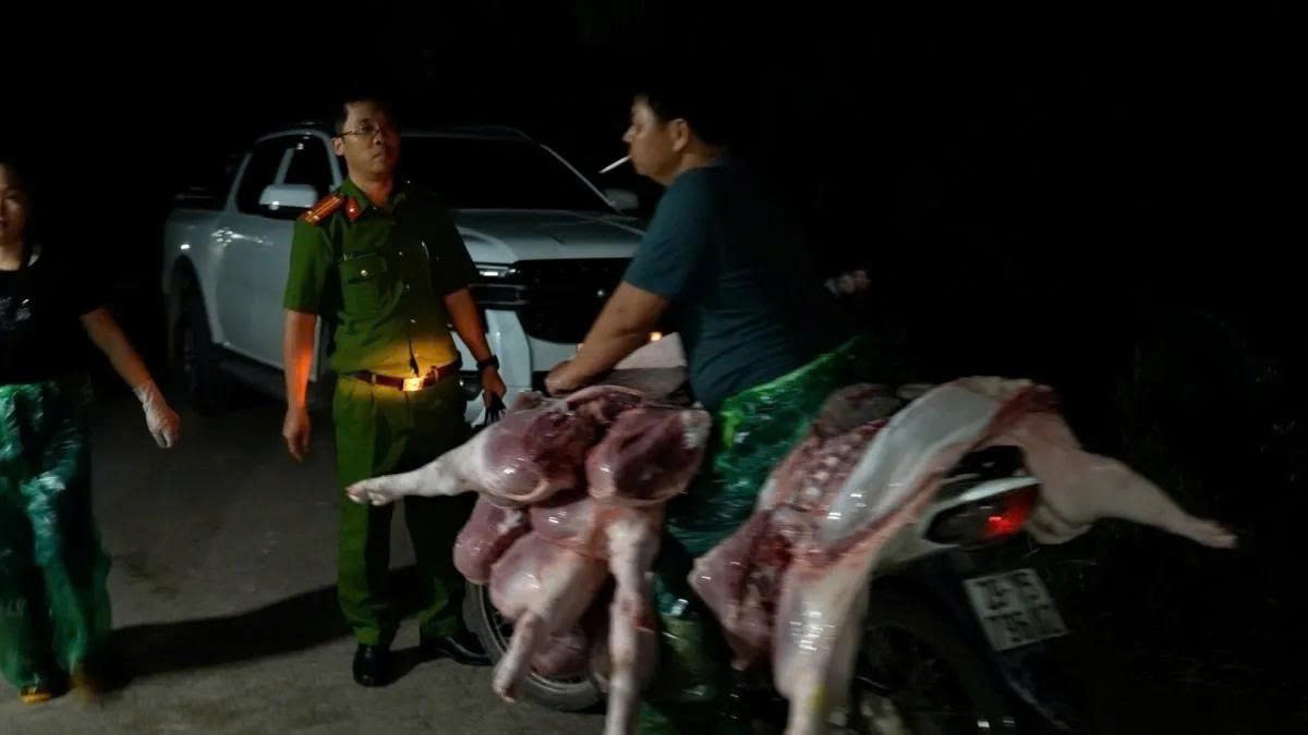 Thịt lợn nhiễm bệnh được các đối tượng lén lút vận chuyển đi tiêu thụ trong đêm. (Ảnh: Công an Hà Nội )