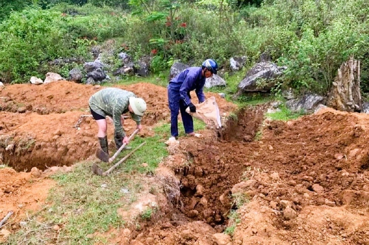 Dịch tả lợn Châu Phi bùng phát ở Nghệ An, người chăn nuôi thiệt hại nặng nề