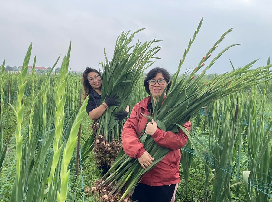 Phát triển nhiều mô hình sản xuất nông nghiệp tại Thuận An