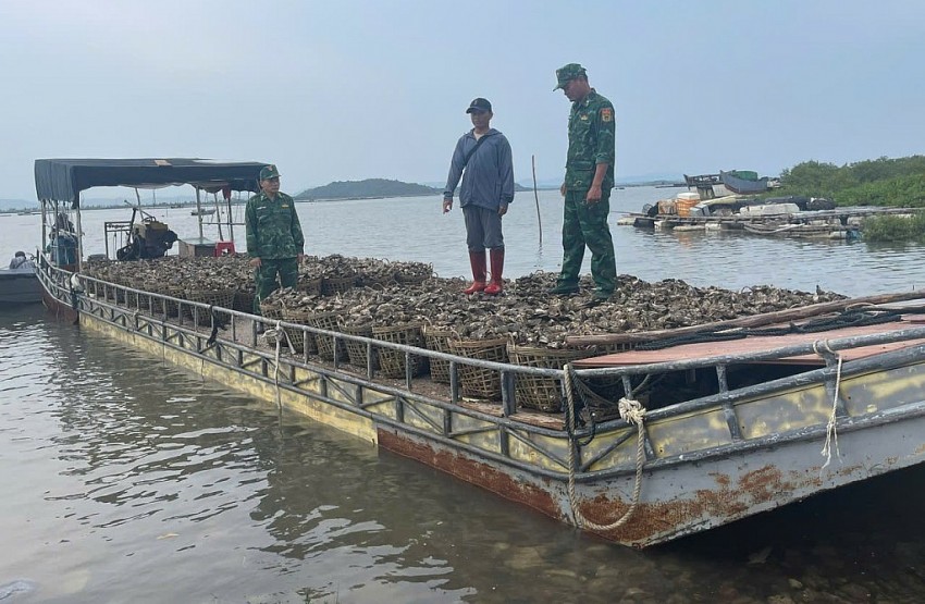 bè chở 4 tấn hàu trái phép từ Trung Quốc về Việt Nam