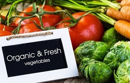 Chứng nhận hữu cơ trong nông nghiệp: Nền tảng của lòng tin và sự phát triển bền vững