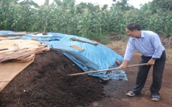6 bước ủ phân hữu cơ từ phân chuồng