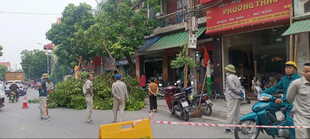 Hải Phòng: Chủ động ứng phó khẩn cấp với cơn bão số 3 Wipha