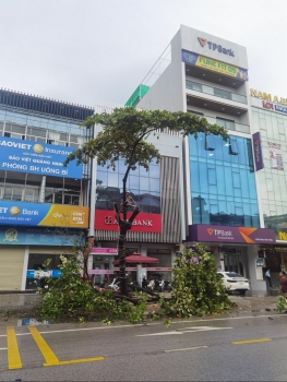 Quảng Ninh: Sẵn sàng ứng phó cơn bão số 3