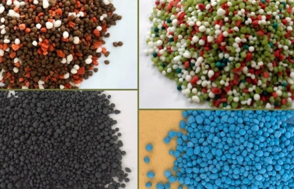 Phân hóa học: Lợi ích ngắn hạn và hậu quả lâu dài