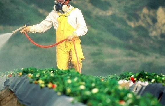 Quan niệm sai lầm về kim loại nặng và dư lượng hóa chất sẽ "bay hơi" khi chế biến