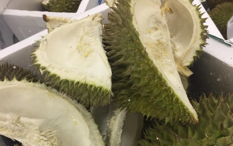 Phát triển phân bón hữu cơ nhờ tận dụng từ vỏ sầu riêng, vỏ sò