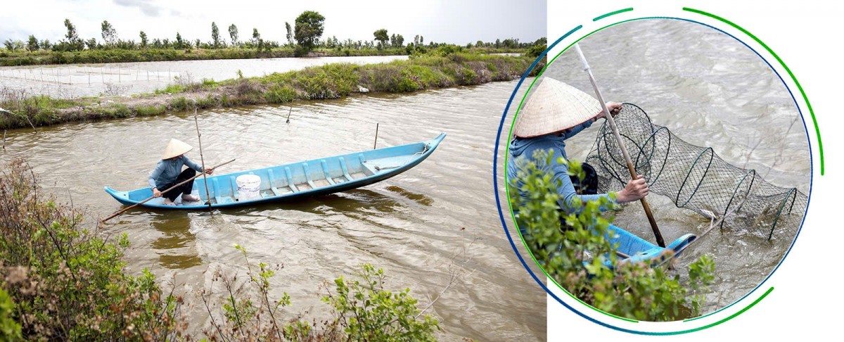 Nông nghiệp hữu cơ qua thời 