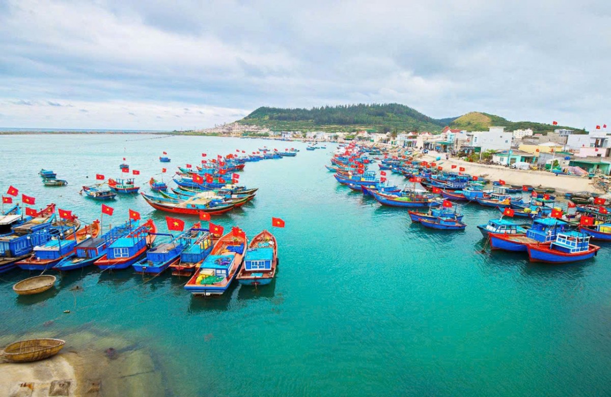 Thủ tướng Chính phủ chỉ đạo toàn diện tăng cường chống khai thác thủy sản bất hợp pháp (IUU)