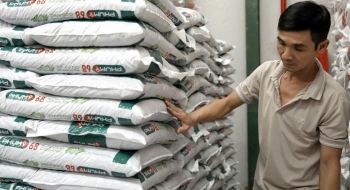 Ra mắt Hữu cơ Phú Mỹ Organic, hoàn thiện “bộ ba vàng” dinh dưỡng cho nông nghiệp bền vững