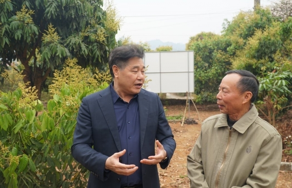 Nâng cao chất lượng sản phẩm cây ăn quả, đáp ứng yêu cầu thị trường trong nước và xuất khẩu