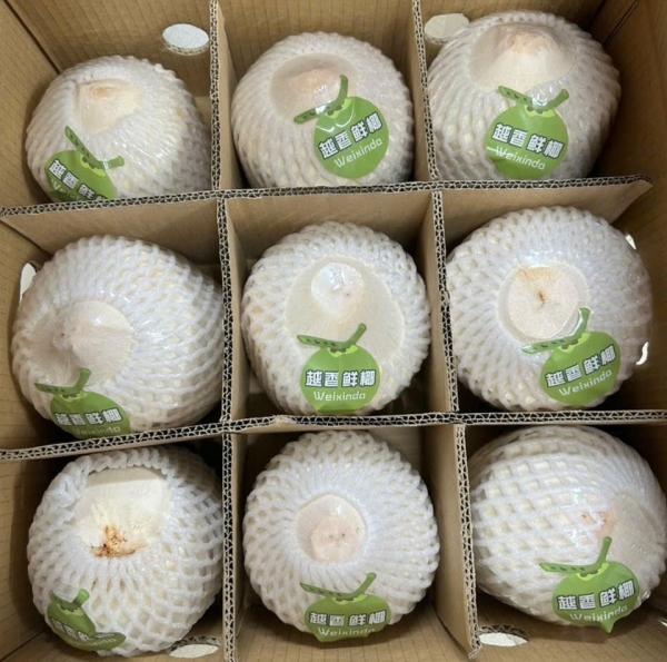 Gần 22 tấn dừa tươi chính ngạch được xuất khẩu qua Trung Quốc