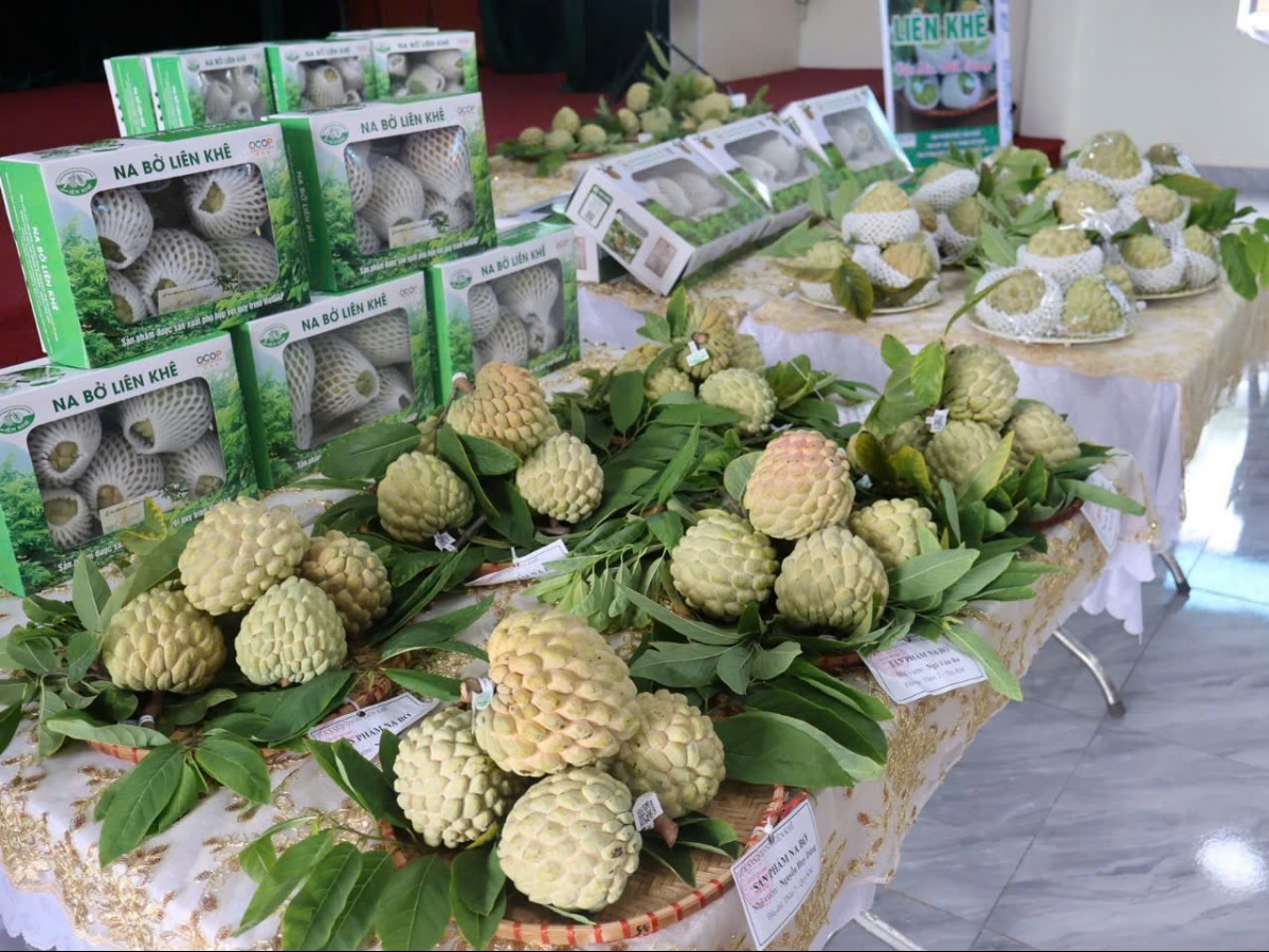 Nâng tầm thương hiệu na bở Liên Khê - An Sơn