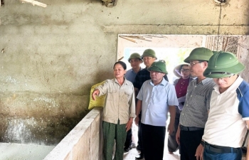 Nghệ An phấn đấu tiêm phòng bắt buộc đạt trên 70% tổng đàn gia súc, gia cầm