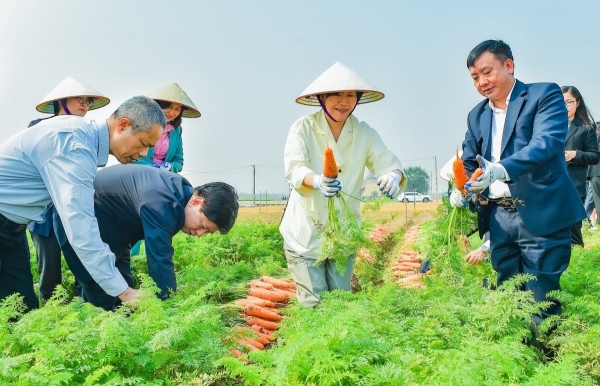 Việt Nam - Hàn Quốc: Thúc đẩy hợp tác song phương trong lĩnh vực nông nghiệp