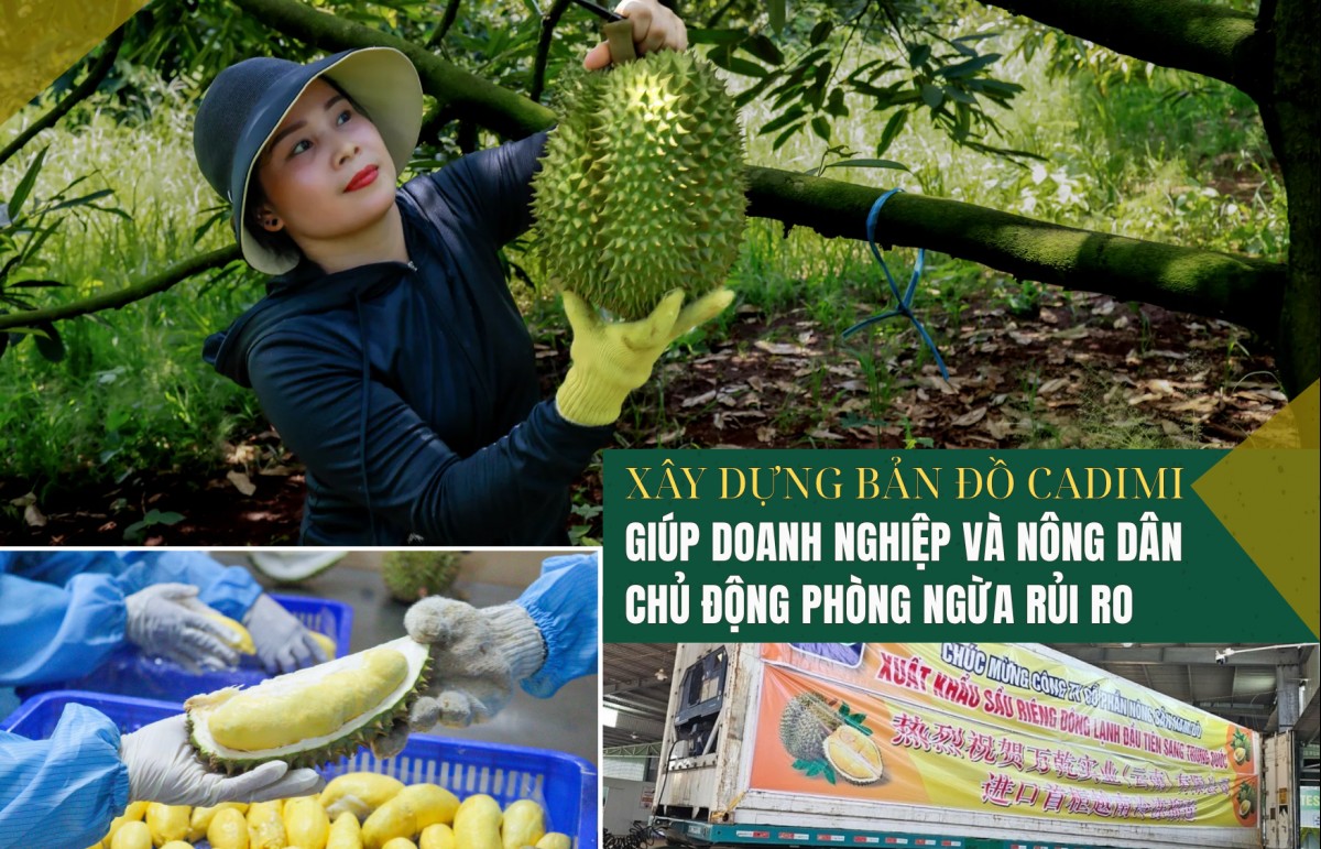 Xây dựng bản đồ Cadimi giúp doanh nghiệp và nông dân chủ động phòng ngừa rủi ro