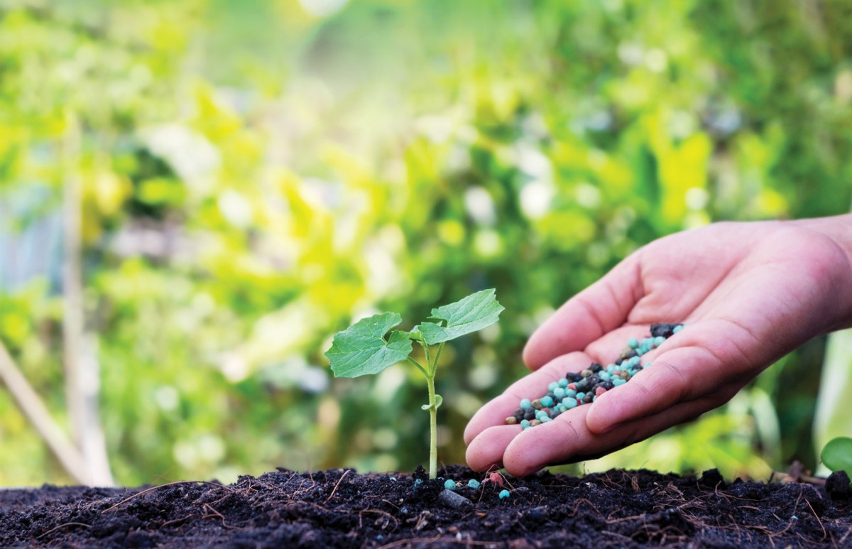 Chuyển đổi và kiến tạo tương lai xanh - Kỳ 1: Xanh từ tư duy đến hành động