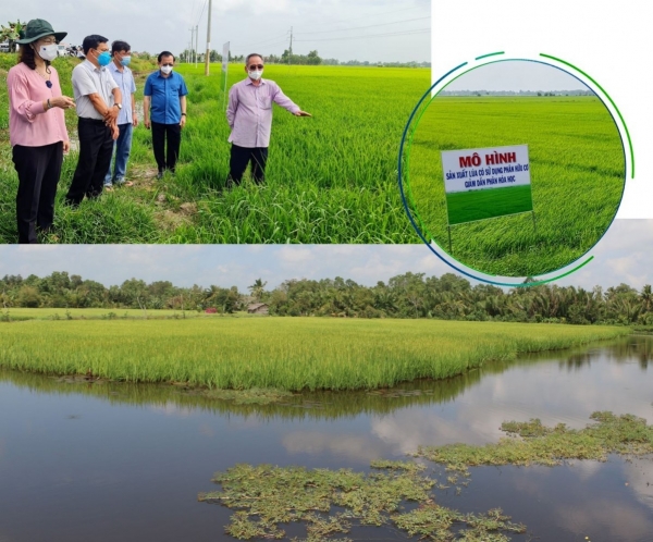 Chuyển đổi và kiến tạo tương lai xanh - Kỳ 2: "Mở cánh cửa" mới cho nông nghiệp Việt