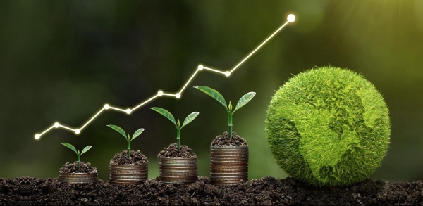 Chuyển đổi và kiến tạo tương lai xanh - Kỳ 5: Gỡ vướng pháp lý kiến tạo phát triển xanh