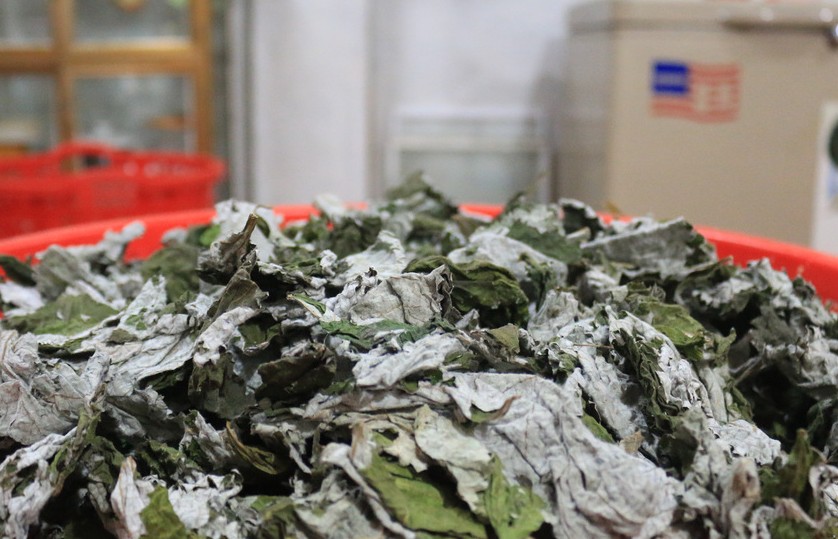 Bánh gai Chiêm Hóa - Linh hồn ẩm thực miền sơn cước