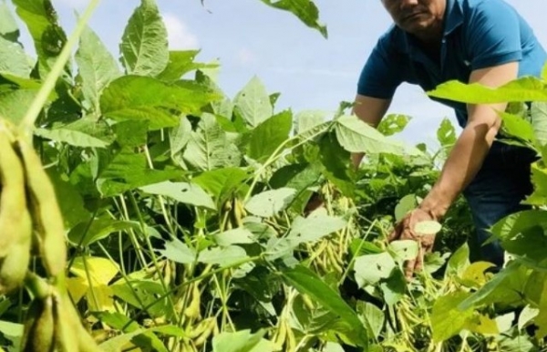 Lợi ích nhiều mặt của nông nghiệp hữu cơ