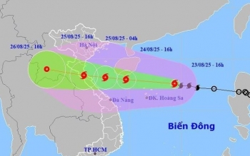 Ninh Bình triển khai thực hiện việc ứng phó khẩn cấp Bão số 5