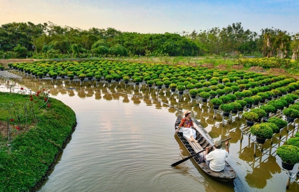 Đánh giá hiệu quả của các mô hình canh tác hữu cơ tích hợp trong cải thiện độ phì nhiêu đất và đa dạng sinh học tại các vùng đất bạc màu ở Đông Nam Bộ