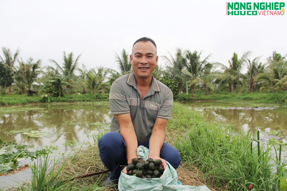 “Lão nông” biến đầm lầy thành trang trại nuôi ốc, thoát nghèo trên mảnh đất quê hương