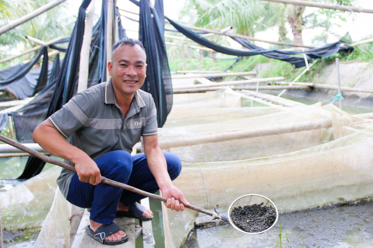 “Lão nông” biến đầm lầy thành trang trại nuôi ốc, thoát nghèo trên mảnh đất quê hương