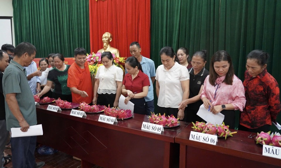 Khởi động Dự án 