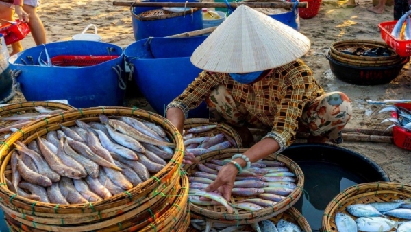 Trải nghiệm làng chài bình yên đẹp như tranh vẽ xứ Đà thành