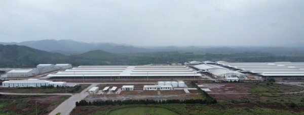 Thanh Hoá: Ưu tiên ứng dụng công nghệ cao trong chăn nuôi