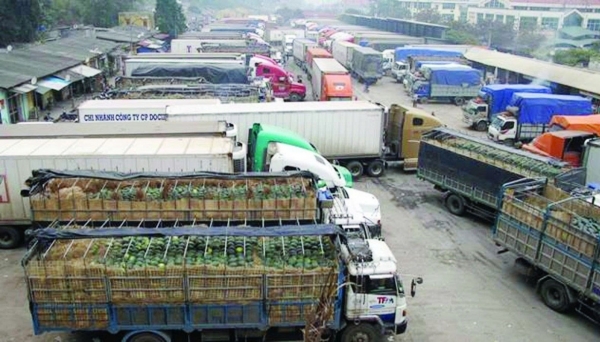 Lâm Đồng: Cảnh báo doanh nghiệp về tình trạng ùn ứ nông sản tại cửa khẩu Lạng Sơn