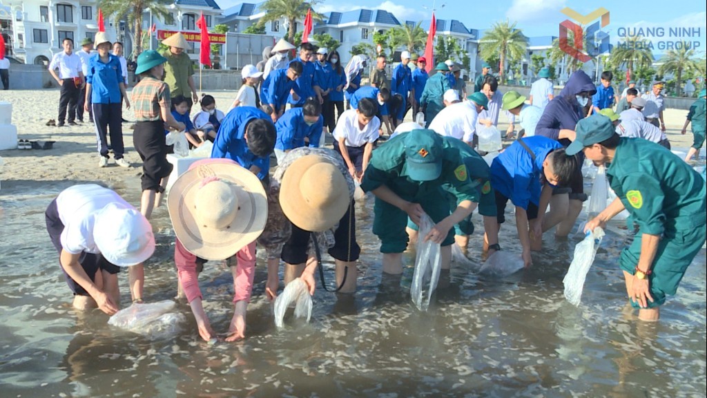 Quảng Ninh: Thả con giống tái tạo nguồn lợi thuỷ sản