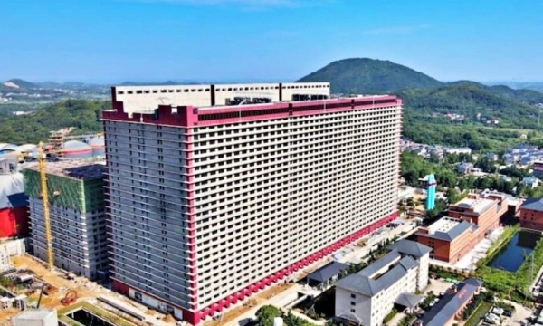 “Chung cư nuôi heo”: Hướng đi mới trong ngành chăn nuôi