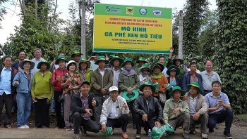 Khai phá tiềm năng cà phê Việt: Hành trình mới cùng canh tác cà phê thông minh