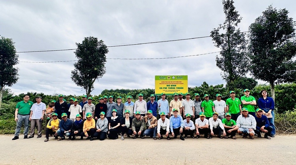 Tại sao cần canh tác cà phê thông minh?