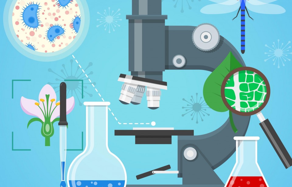 SumaGrow Biotech và sức khỏe của đất: Cuộc cách mạng từ hệ vi sinh