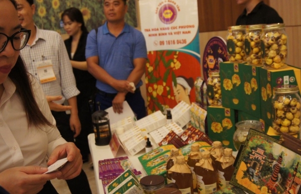 Trà Hoa Vàng: Loài cây quý hiếm và giá trị khoa học