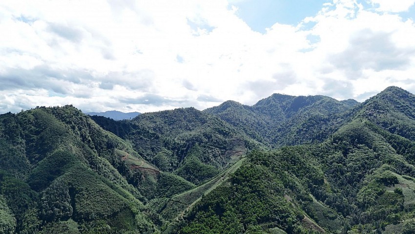 Lào Cai: Tăng cường công tác bảo vệ và phòng cháy, chữa cháy rừng