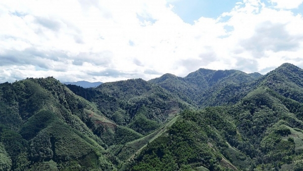 Lào Cai: Tăng cường công tác bảo vệ và phòng cháy, chữa cháy rừng