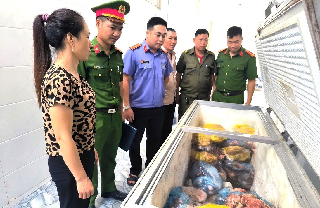 Giết mổ, bày bán thịt lợn nhiễm dịch tả Châu Phi, người phụ nữ bị khởi tố